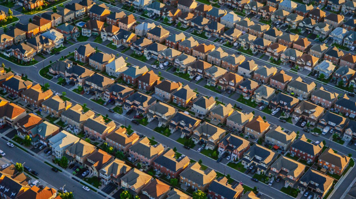 daniel neuhaus 5Bba85wYR0 unsplash