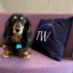 PROPTECH-X : What affect will Rachel Reeves have on landlords and commercial property owners? 323 kkkk