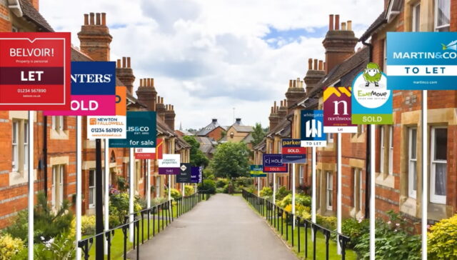 perf boards e1773518983777