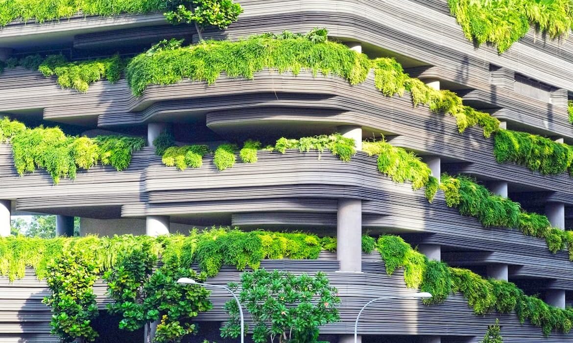 perfphoto 1451976426598 a7593bd6d0b2